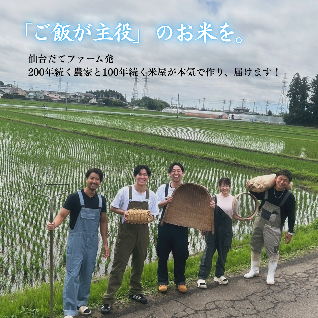 令和7年産 産地直送 宮城県産ひとめぼれ 5kg~ 単一原料米 一等米 精米当日発送 米 送料無料