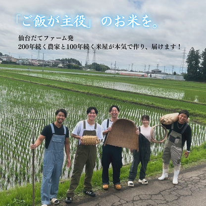 令和7年産 産地直送 宮城県産ひとめぼれ 5kg~ 単一原料米 一等米 精米当日発送 米 送料無料