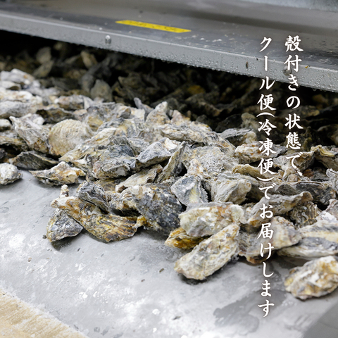 【生食OK】兵庫県産 殻付き冷凍牡蠣 カキ 1kg〜10kg｜急速冷凍で鮮度そのまま