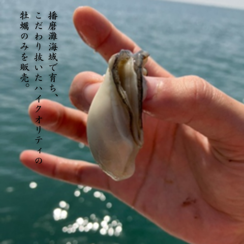 【カキ1GPグランプリ受賞】産地直送 生食OK！兵庫・室津産 播磨灘  キューティーカキー 生食OK