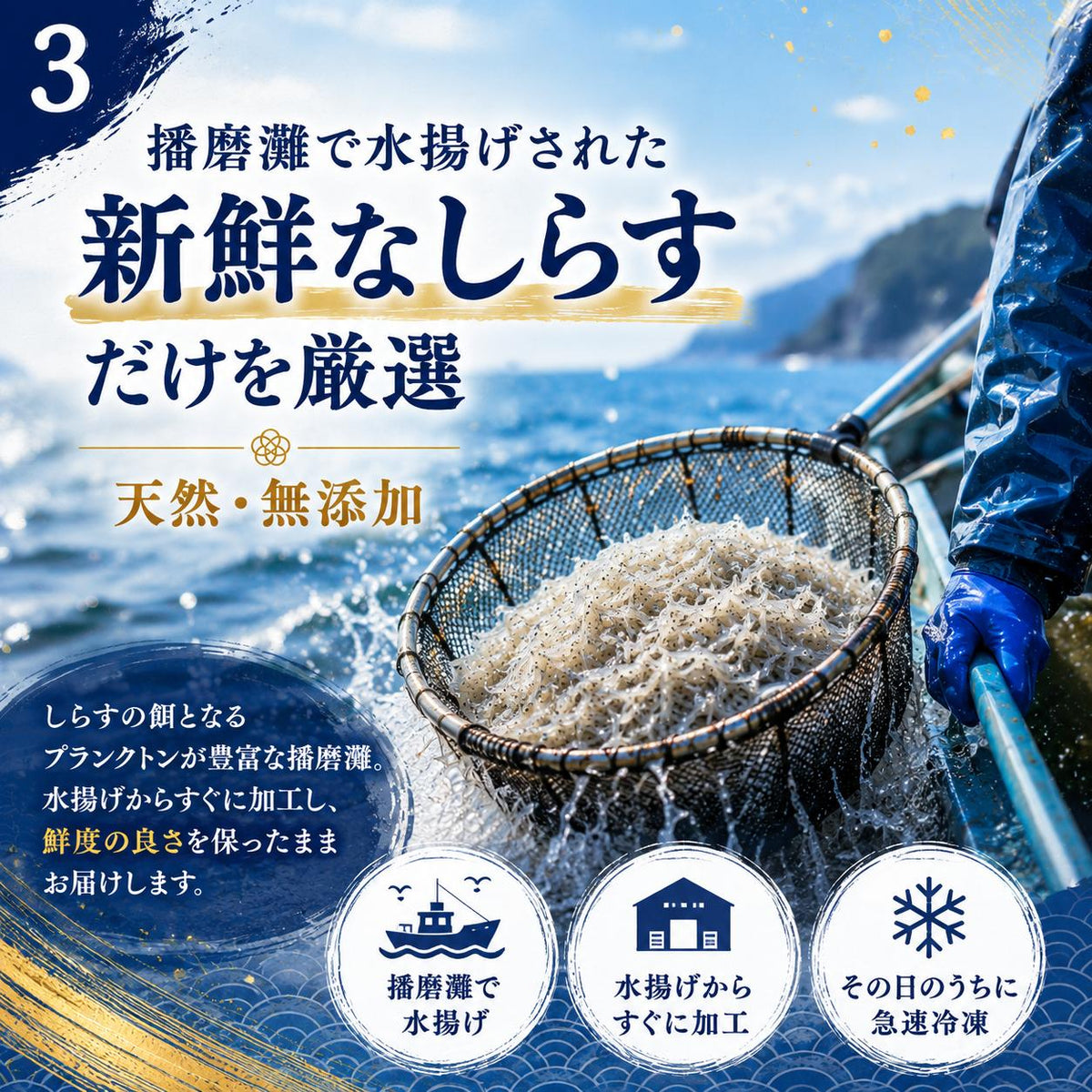 瀬戸内産生しらす 天然・無添加 120g×5パック〜 冷凍