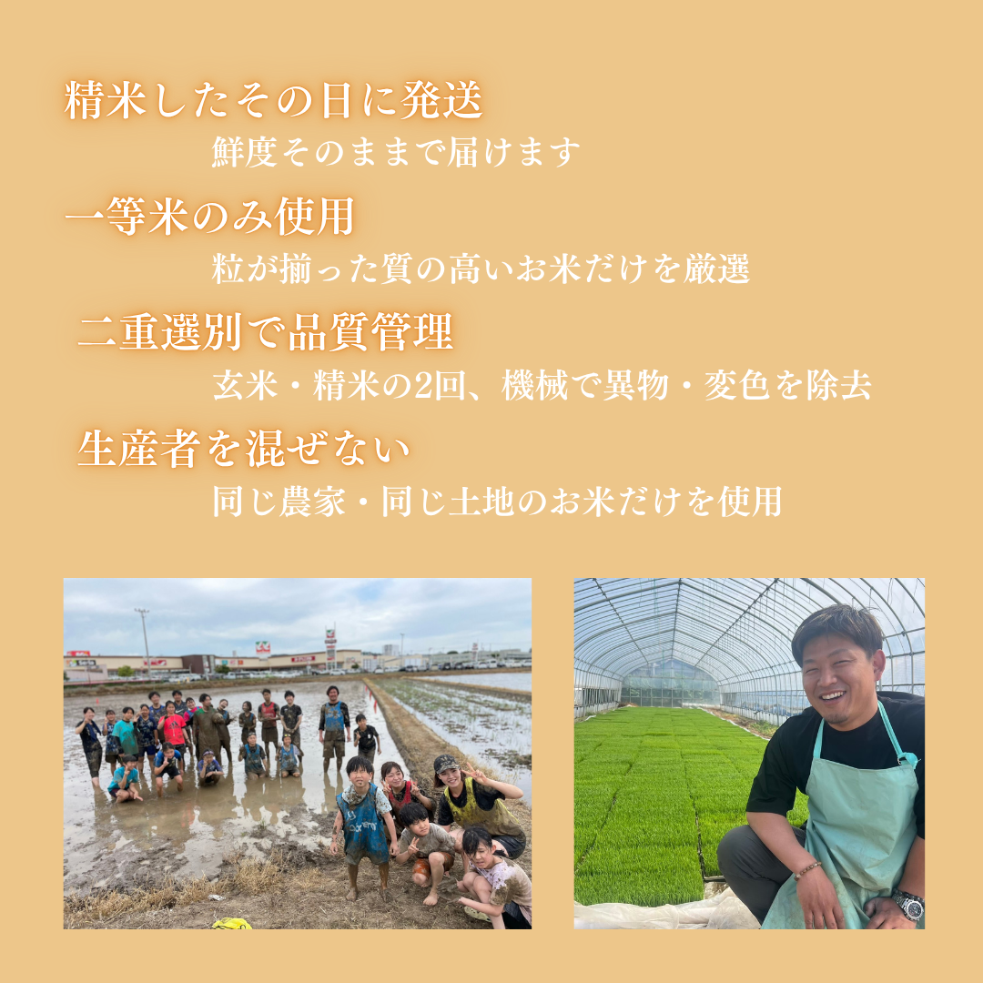 令和7年産 産地直送 宮城県産ひとめぼれ 5kg~ 単一原料米 一等米 精米当日発送 米 送料無料