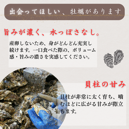 【カキ1GPグランプリ受賞】産地直送 生食OK！兵庫・室津産 播磨灘  キューティーカキー 生食OK