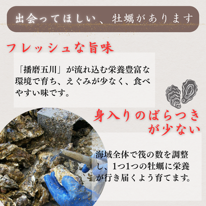 【生食OK】兵庫県産 殻付き冷凍牡蠣 カキ 1kg〜10kg｜急速冷凍で鮮度そのまま