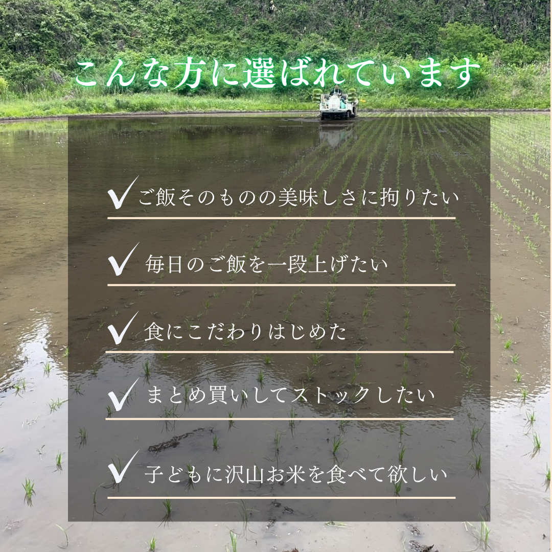 令和7年産 産地直送 宮城県産つや姫 5kg~ 単一原料米 特A 一等米 精米当日発送 米 送料無料