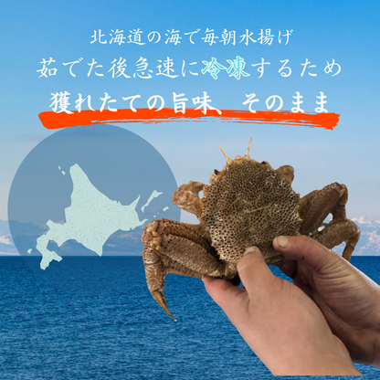 【北海道産】毛蟹 1kgセット 2kgセット 水揚げ後ボイル・急速冷凍  訳あり