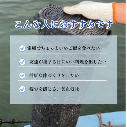 【カキ1GPグランプリ受賞】産地直送 生食OK！兵庫・室津産 播磨灘  キューティーカキー 生食OK