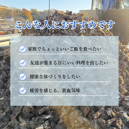 【生食OK】兵庫県産 殻付き冷凍牡蠣 カキ 1kg〜10kg｜急速冷凍で鮮度そのまま