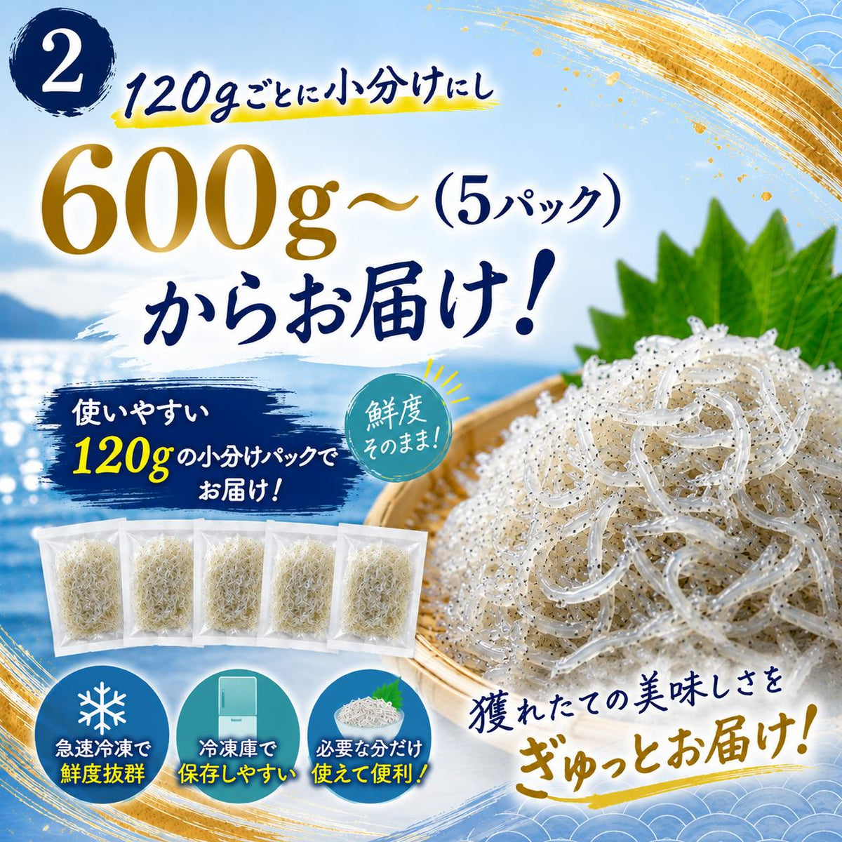 瀬戸内産生しらす 天然・無添加 120g×5パック〜 冷凍