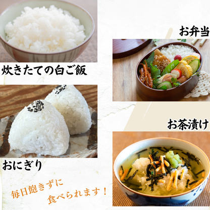 令和7年産 産地直送 宮城県産つや姫 5kg~ 単一原料米 特A 一等米 精米当日発送 米 送料無料