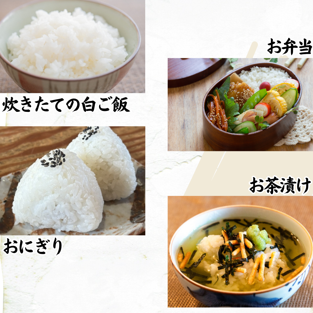 令和7年産 産地直送 宮城県産ひとめぼれ 5kg~ 単一原料米 一等米 精米当日発送 米 送料無料
