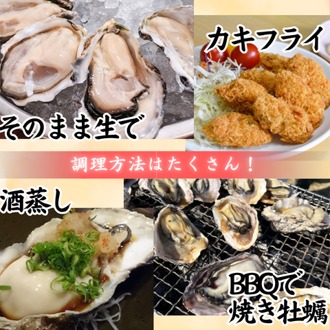 【生食OK】兵庫県産 殻付き冷凍牡蠣 カキ 1kg〜10kg｜急速冷凍で鮮度そのまま
