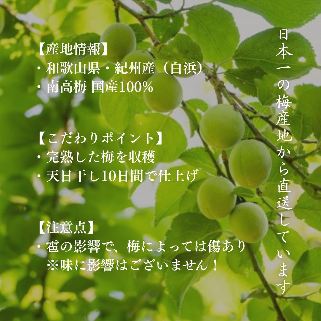 【訳あり】紀州梅干し 和歌山県産  まろやか はちみつ・しそ漬け 350g/700g キズあり(味は一級品)