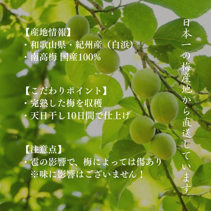 【訳あり】紀州梅干し 和歌山県産  まろやか はちみつ・しそ漬け 350g/700g キズあり(味は一級品)