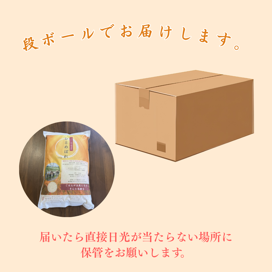 令和7年産 産地直送 宮城県産ひとめぼれ 5kg~ 単一原料米 一等米 精米当日発送 米 送料無料
