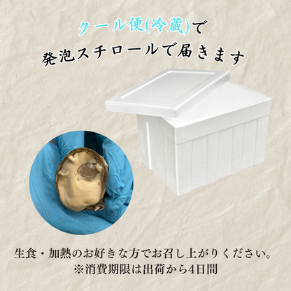 【カキ1GPグランプリ受賞】産地直送 生食OK！兵庫・室津産 播磨灘  キューティーカキー 生食OK