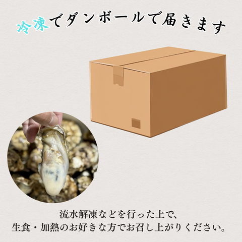 【生食OK】兵庫県産 殻付き冷凍牡蠣 カキ 1kg〜10kg｜急速冷凍で鮮度そのまま
