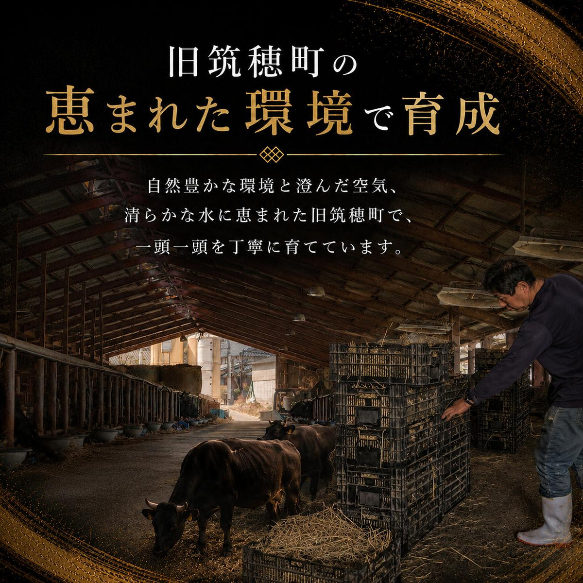 【9月残り10セット】筑穂牛 焼肉セット 福岡県最古のブランド牛 希少部位入り