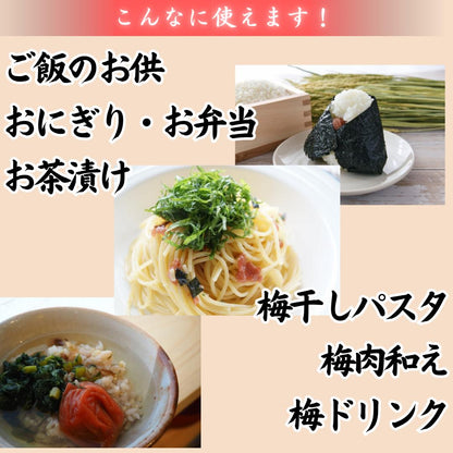 【訳あり】紀州梅干し 和歌山県産  まろやか はちみつ・しそ漬け 350g/700g キズあり(味は一級品)